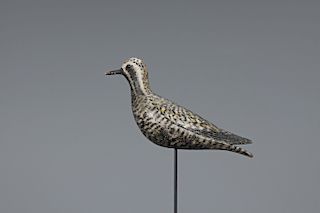 Early Golden Plover, A. Elmer Crowell (1862-1952)