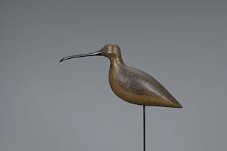Curlew, Harry V. Shourds (1861-1920)