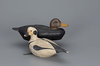Two Decoys