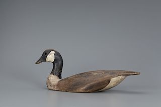 Early Turned-Head Canada Goose, The Ward Brothers