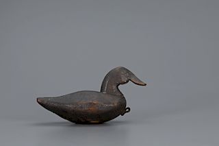 Rare Ruddy Duck, Charles W. Waterfield (1881-1973)