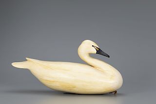 Swan, Robert "Bob" White (b. 1939)