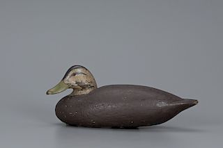 Cork Black Duck, Charles E. "Shang" Wheeler (1872-1949)