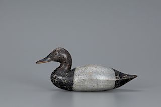 Early Canvasback Drake, Dr. Salmon Rig