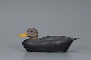 Black Duck, Roswell E. Bliss (1887-1967)
