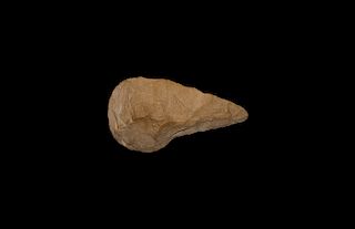 Stone Age Palaeolithic Saharan Handaxe