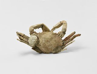 Natural History - Fossil Sentinel Crab