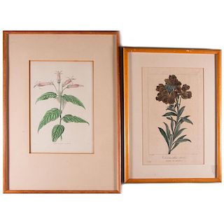 Two framed hand colored etchings.