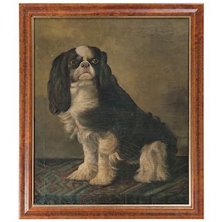 English School, 19th Century Painting of a Cavalier King Charles Spaniel