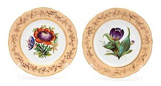 A Pair of English Porcelain Botanical Plates Diameter 9 1/8 inches.
