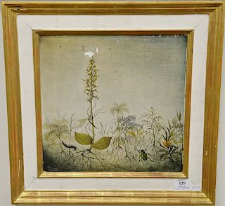 Florence Martin (19th/20th century), oil on masonite, Botanical and Insects, signed lower left: Florence Martin, 11 1/2" x 11 1/2".