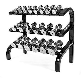 A Maxicam/Muscle Dynamics Free Weight Stand and Weights Height 40 1/4 x width 48 x depth 22 1/8 inches.