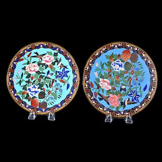 Cloisonne Chargers
