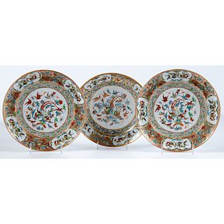 Chinese Export Bird of Paradise Plates