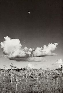 Clyde Butcher "Moonrise (Everglades)" Photograph