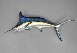 Bahamian Blue Marlin Fish Full Mount, Trophy Fish