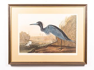 After Audubon, "Blue Crane or Heron", Amsterdam Ed