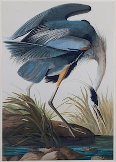 After John James Audubon 36 x 25 3/8 inches.