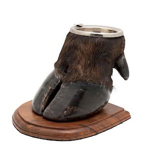 A Taxidermy Hoof Height 6 1/4 inches.