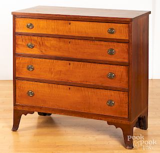 Pennsylvania Federal cherry and tiger maple chest of drawers