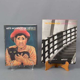 Lote de 2 libros. Consta de Fotógrafos y arquitectos y Arte moderno de México, colección Andrés Blaisten.