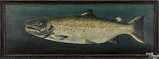 English or Scottish, oil on canvas portrait of a salmon, late 19th c., initialed E.V.D.