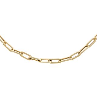 A Ladies Oval Link Chain in 14K Gold