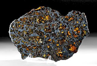 Large Admire Pallasite Meteorite Section - 474 Grams
