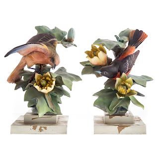 Pair Royal Worcester Baltimore Orioles by Doughty