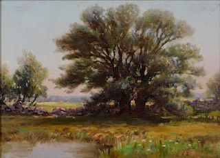 Elizabeth Ferguson O/C Summer Landscape Painting