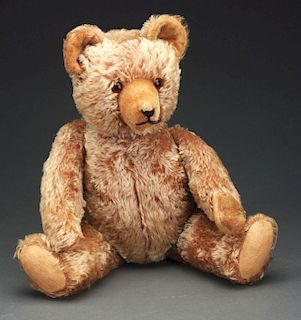 German Teddy Bear. 
