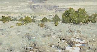 Kang Yon Cho, (Korean/American, b. 1953), Canyon of the Rio Grande