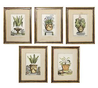 Five Hand Colored Engravings, Abraham Munting, Height of each 12 1/2 x 8 1/2 inches.