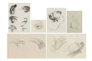 A group of six anatomy study pencil drawings