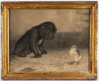 Ben Austrian print of a dog and chick