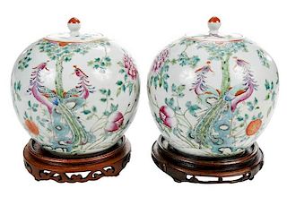 Pair Famille Rose Covered Jars
