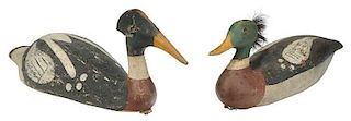 Two Red Breasted Merganser Decoys, Horse Hair