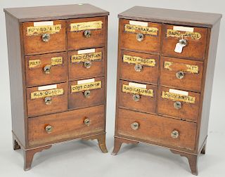 Pair of small mahogany spice chests, each with six small drawers over the one long drawer set on flared French feet, drawers with gl...