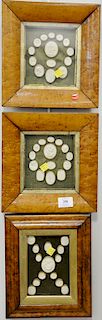 Collection of forty-two framed white plaster Grand Tour Intaglios in three separate burl maple frames, similar to wax seals. 10 1/4"...