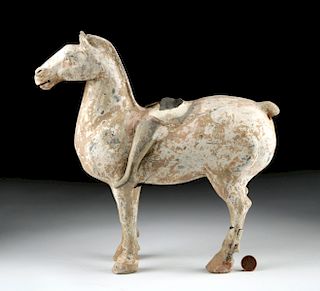 Chinese Tang Dynasty Pottery Horse w/ Rider & TL