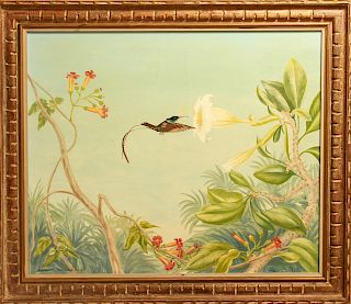 Charles Baskerville "Jamaica Hummingbird" Oil