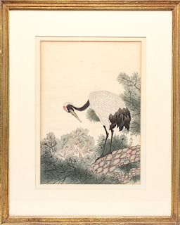 Japanese Red-Crowned Crane Bird Woodcut