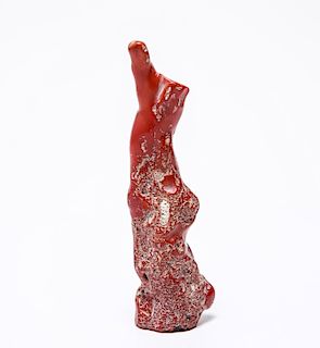 Red Coral, Large Polished Branch
