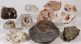 A GROUP OF FOSSILS AND GEODES
