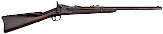 Springfield Model 1873/79 Carbine 