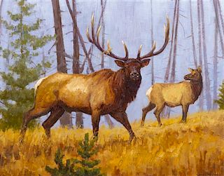 John DeMott, (American, b. 1954), Elk, 1999