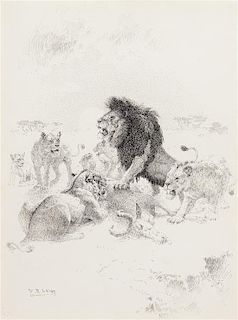 William Robinson Leigh, (American 1866-1955), Lion and Lioness