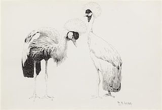 William Robinson Leigh, (American, 1866-1955), A Pair of Grey Crowned Cranes