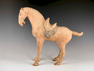 Saddled Tang Horse