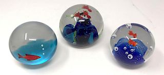 Three Aquatic Art Glass Paperweights 